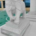 湖南 白麻花岗岩动物异形石雕-大象