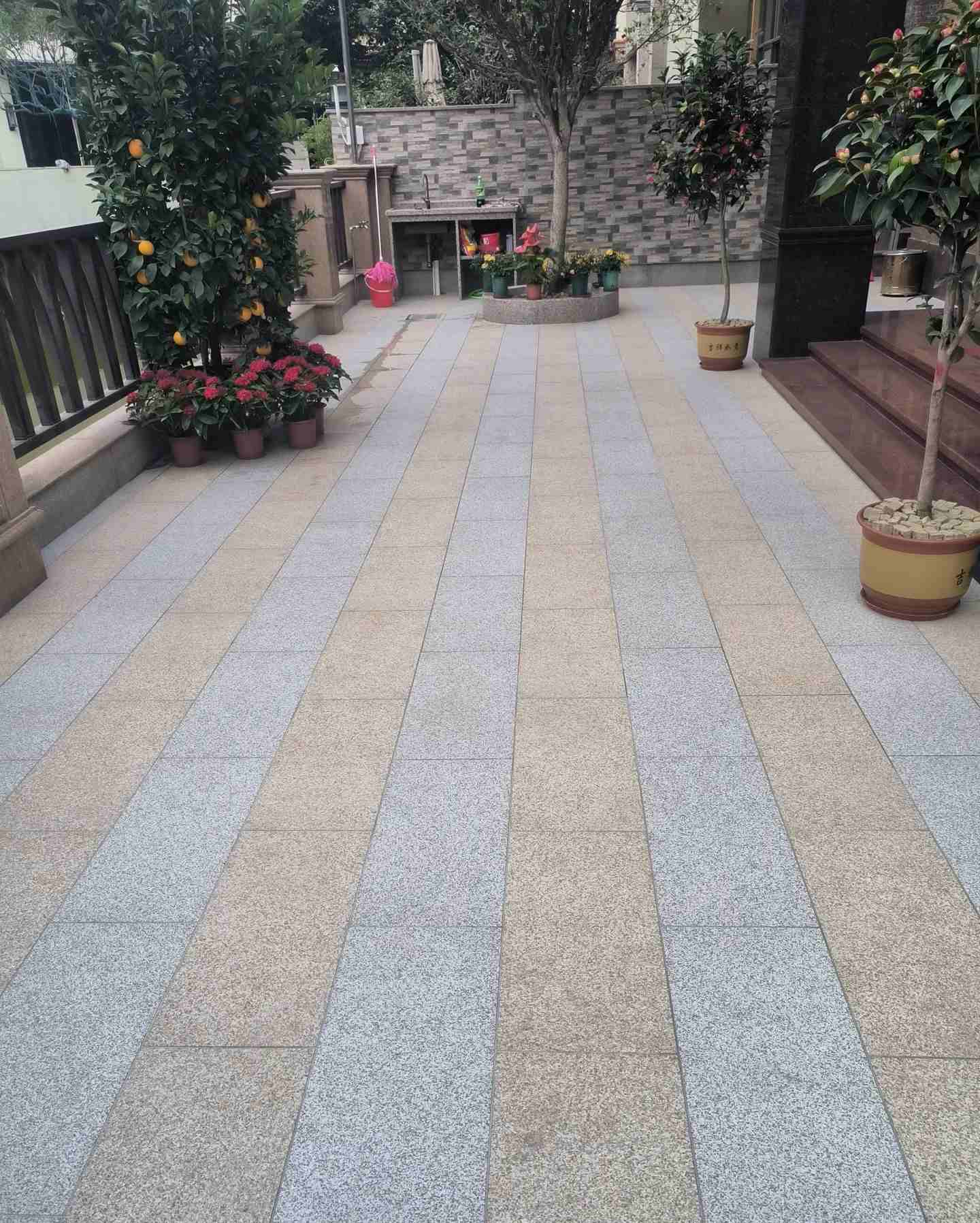 湖南 黄金麻白麻荔枝面庭院铺装展示